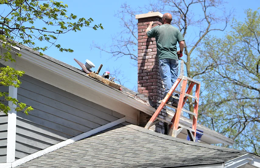 Chimney & Fireplace Inspections Services in Daytona Beach, FL